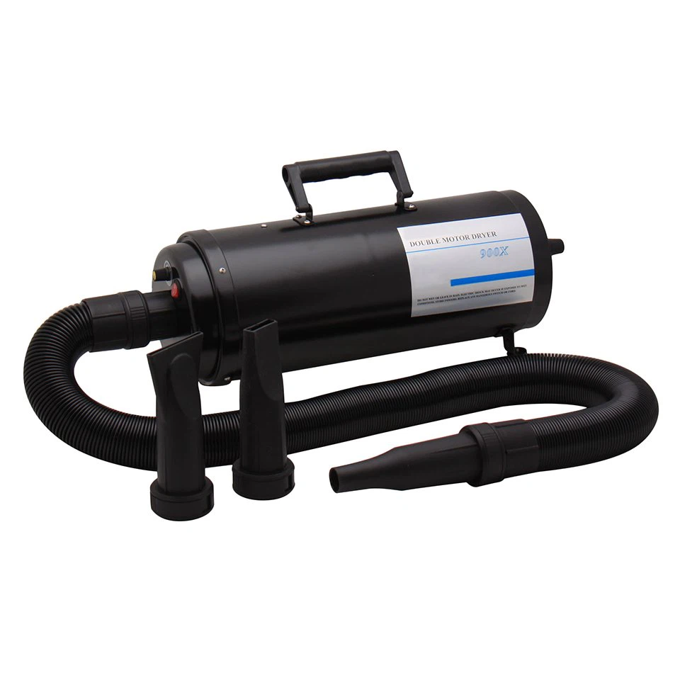 Dual Motor Hair Dryer