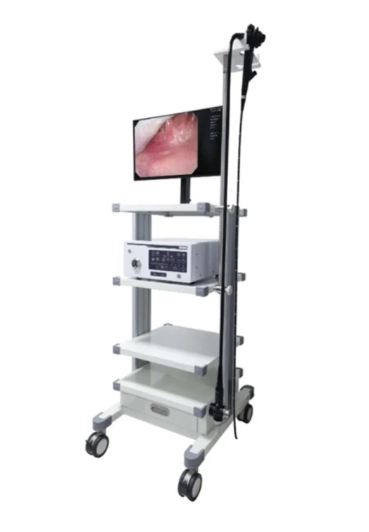 Veterinary Endoscopy Equipment Veterinary Endoscopy Equipment