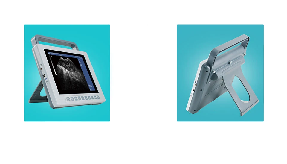 Portable Vet Ultrasound Machine Portable Vet Ultrasound Machine